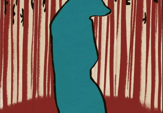 orso disegno illustrazione bosco